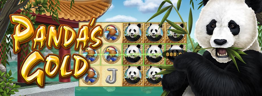 Discover Riches with Panda's Gold Slot