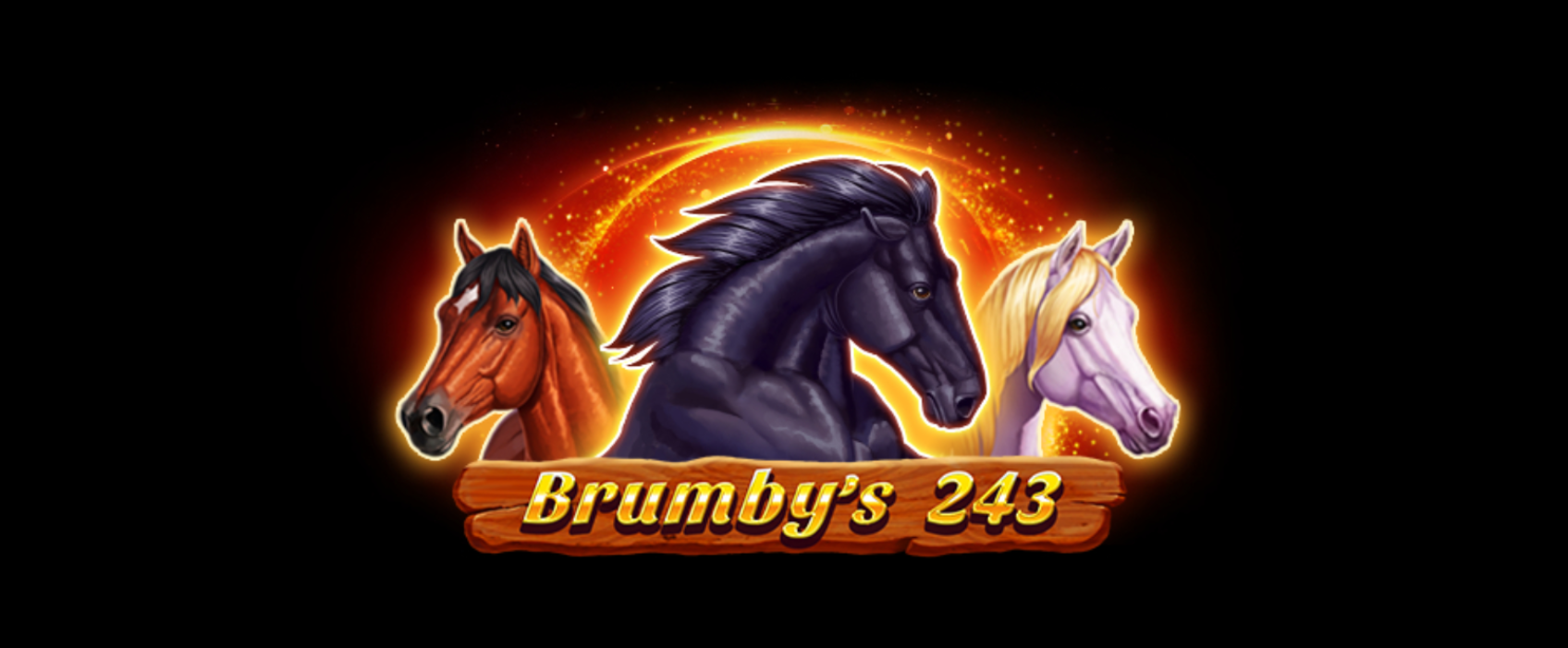 Brumby S 243